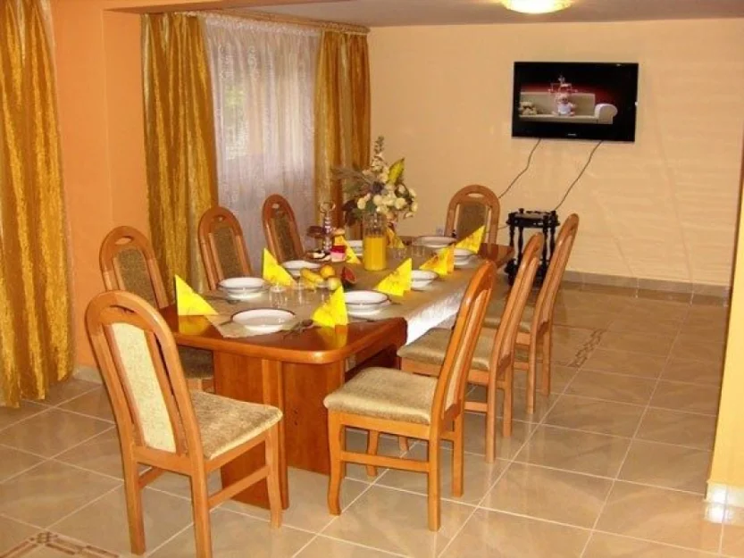 Zdjęcie Stokrotka #6