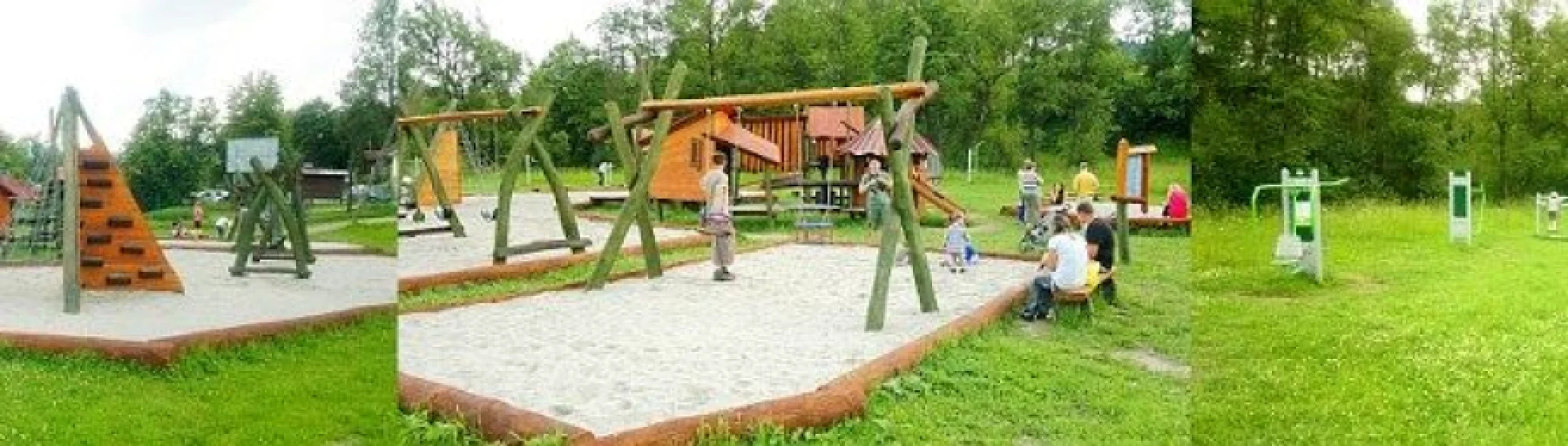 Zdjęcie Stokrotka #8