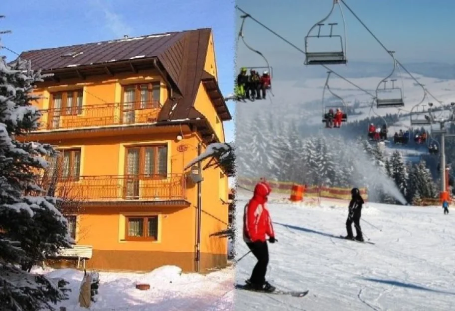 Zdjęcie Stokrotka #10