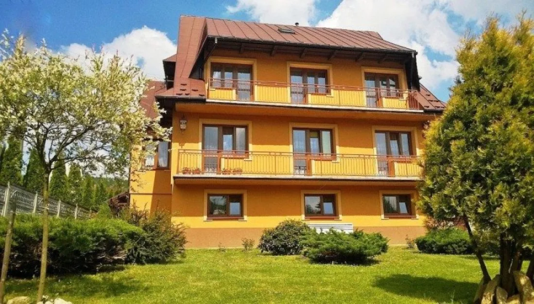 Zdjęcie Stokrotka #11