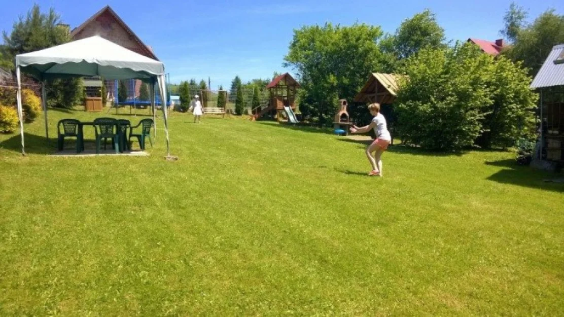 Zdjęcie Stokrotka #13