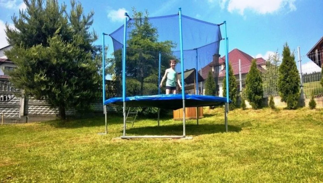 Zdjęcie Stokrotka #14