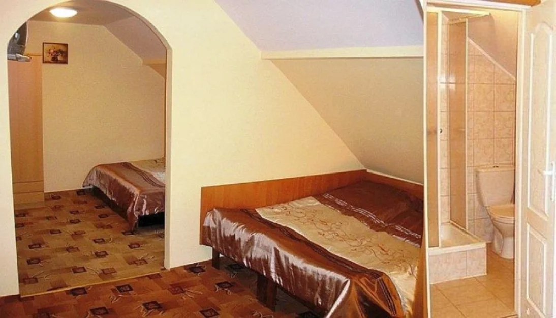 Zdjęcie Stokrotka #16