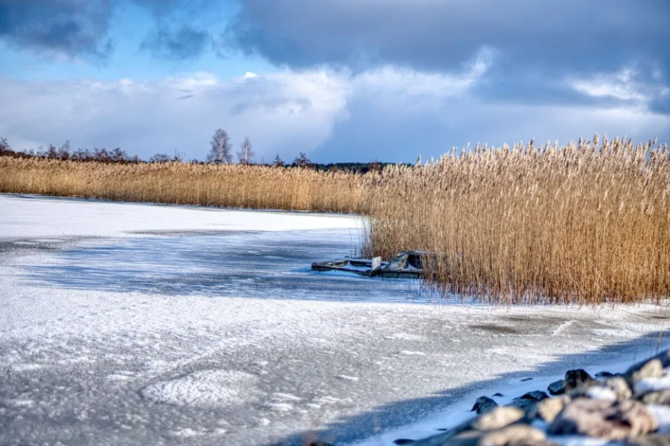 Zdjęcie Domki Ptasi Raj Wyspa Sobieszewska #35