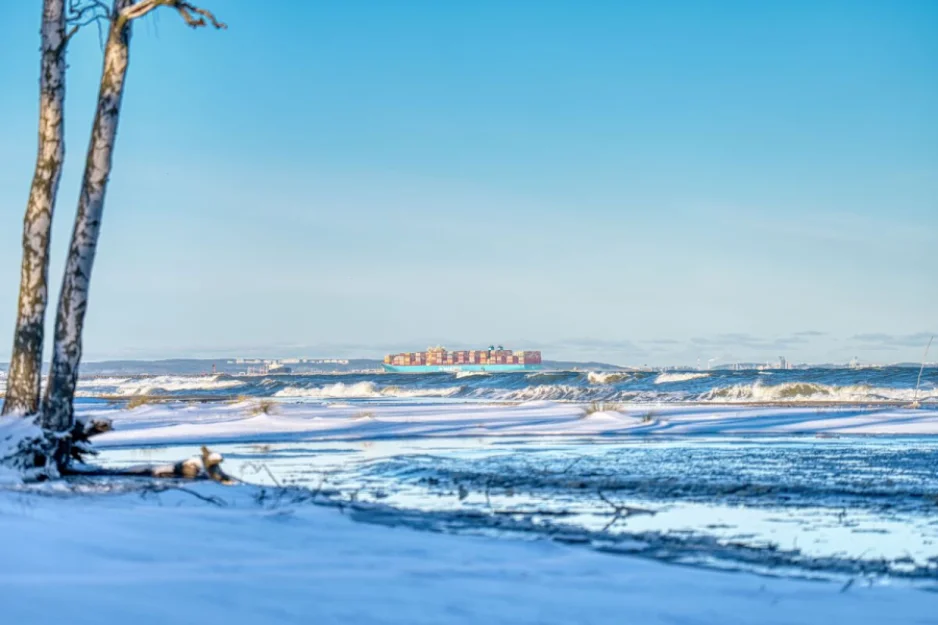 Zdjęcie Domki Ptasi Raj Wyspa Sobieszewska #37