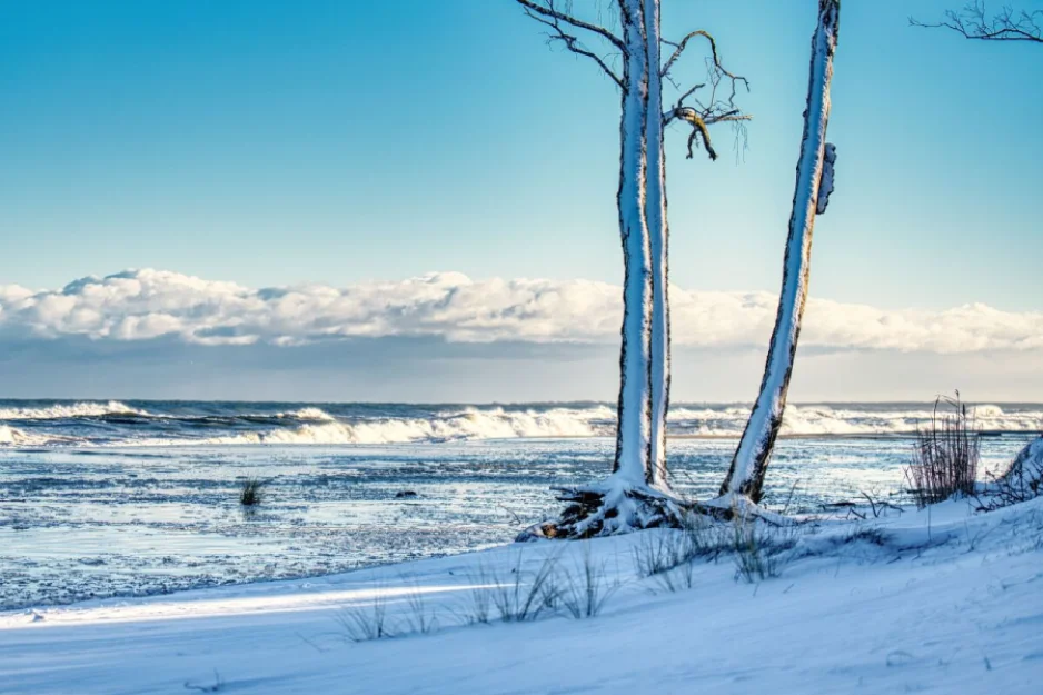 Zdjęcie Domki Ptasi Raj Wyspa Sobieszewska #38