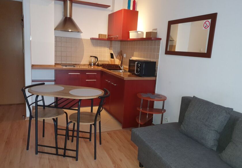 Anita - Apartamenty w "Parku Zdrojowym" 12