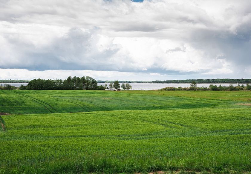 Apartamenty Mazurski Rejs 6