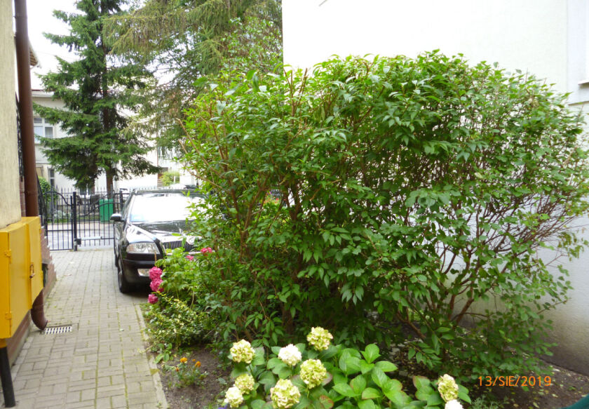 Pod Modrzewiem-parking dla gości