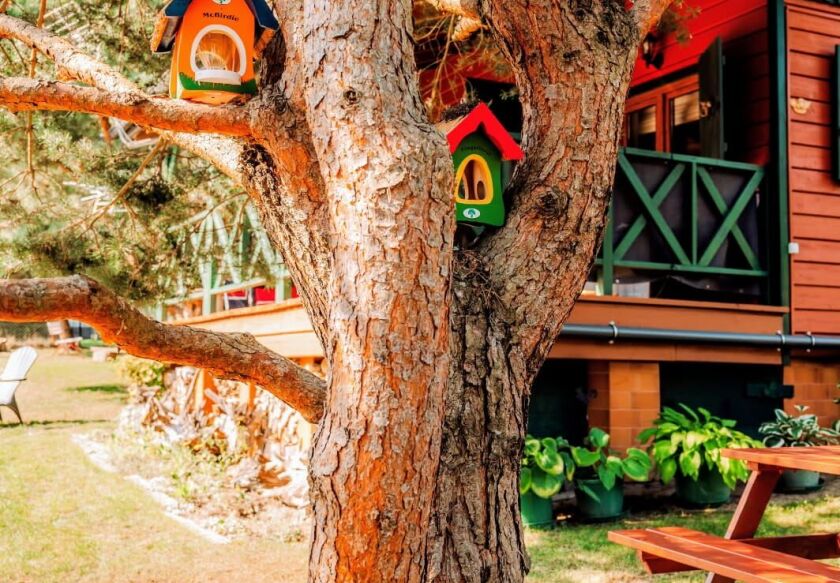 Apartamenty Przystanek Dębina (Rowy) 4