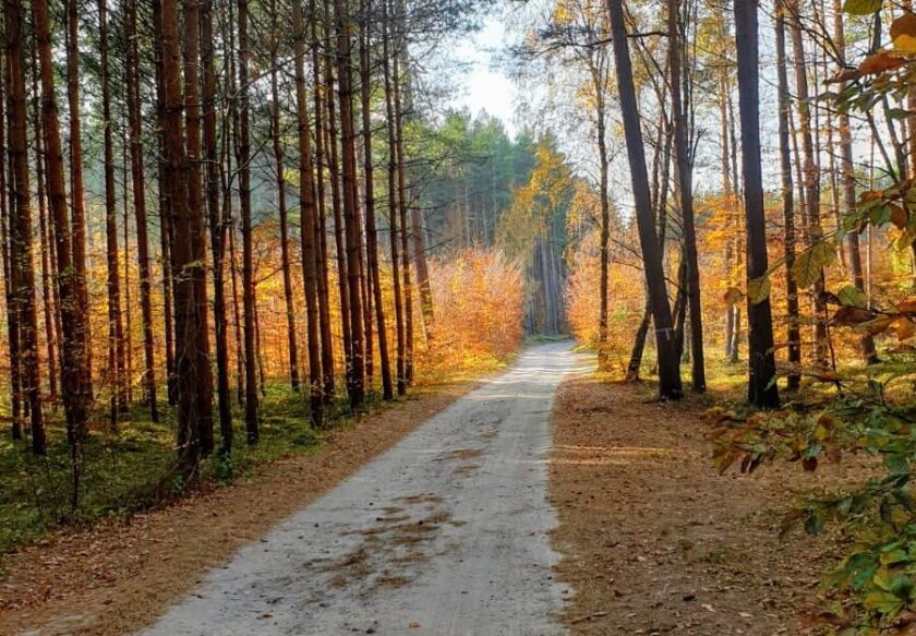 Apartamenty Przystanek Dębina (Rowy) 5