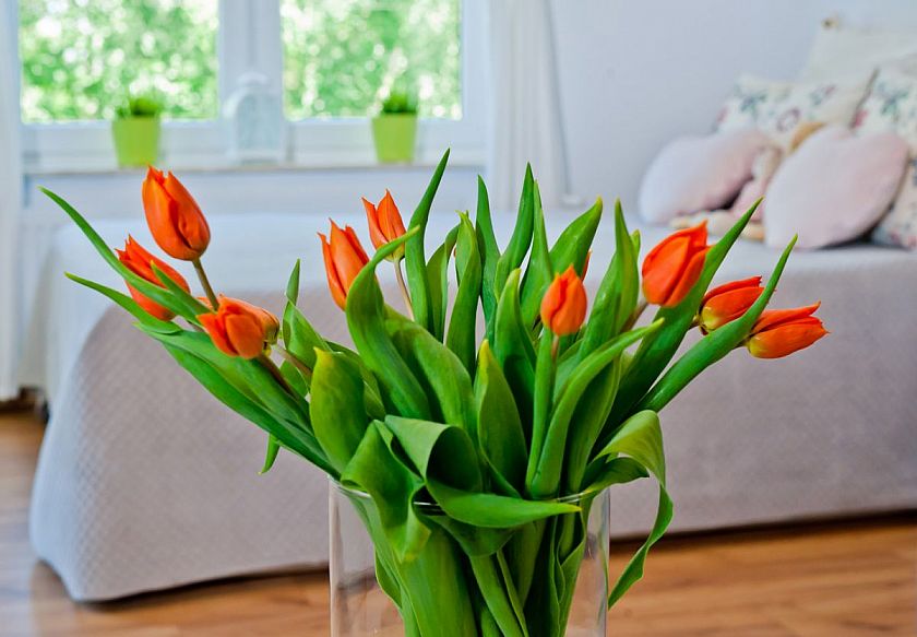 Aqua Holiday Apartaments Basen&Sauna 95