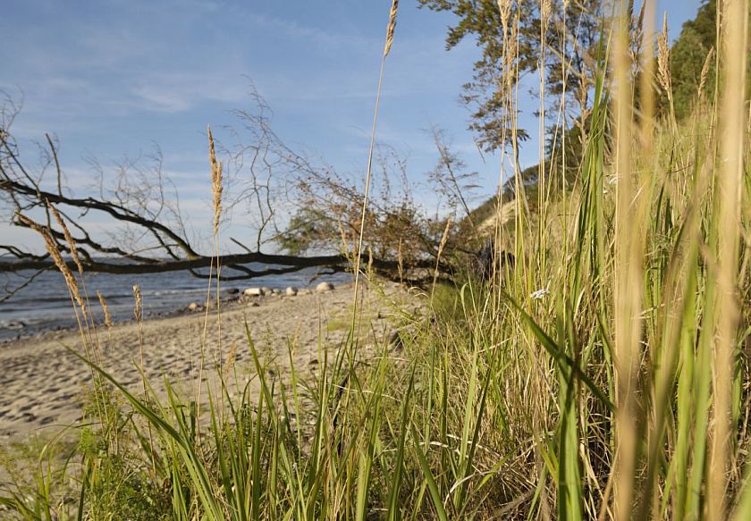 Aqua Resort Apartments - Baseny & Sauny & Parking 94