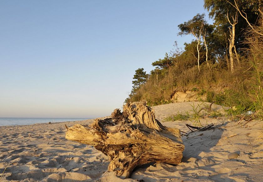 Aqua Resort Apartments - Baseny & Sauny & Parking 95