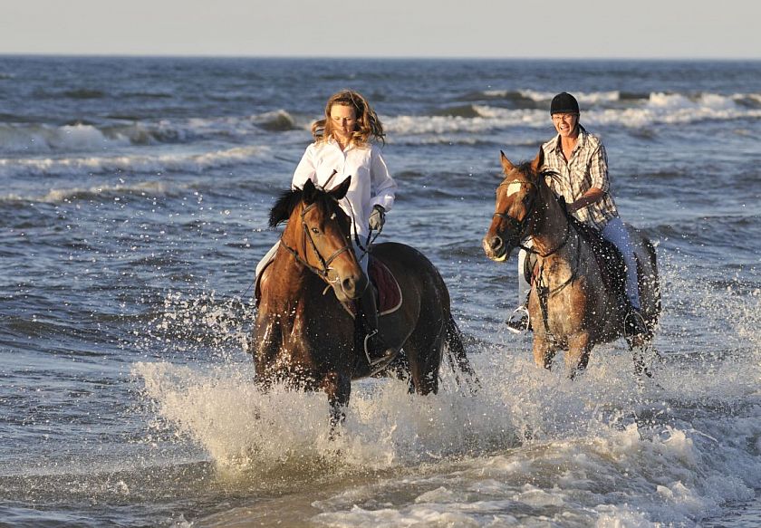 Aqua Resort Apartments - Baseny & Sauny & Parking 96