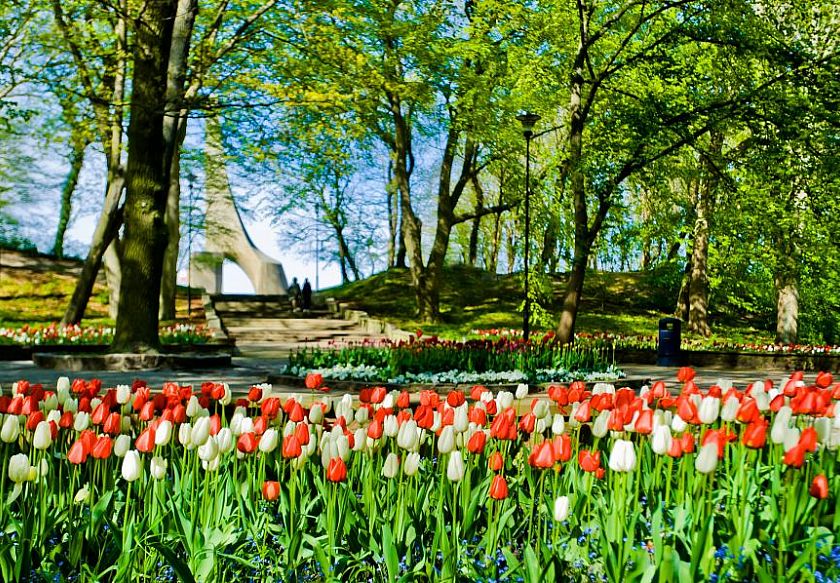 Aqua Resort Apartments - Baseny & Sauny & Parking 105