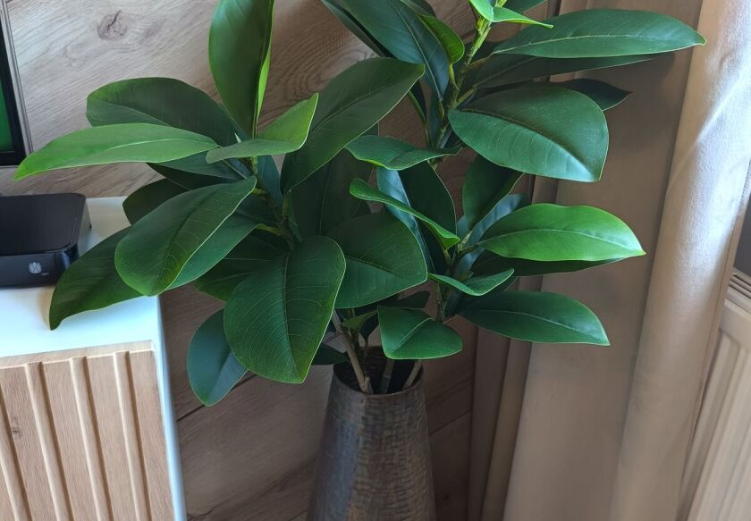 Aster Aparts Sopot 5