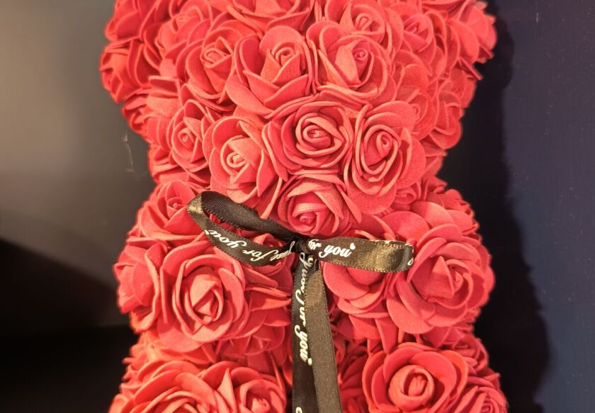 Aster Aparts Sopot 10