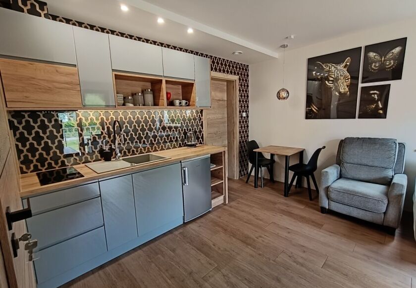 Aster Aparts Wyspa Sobieszewska  10