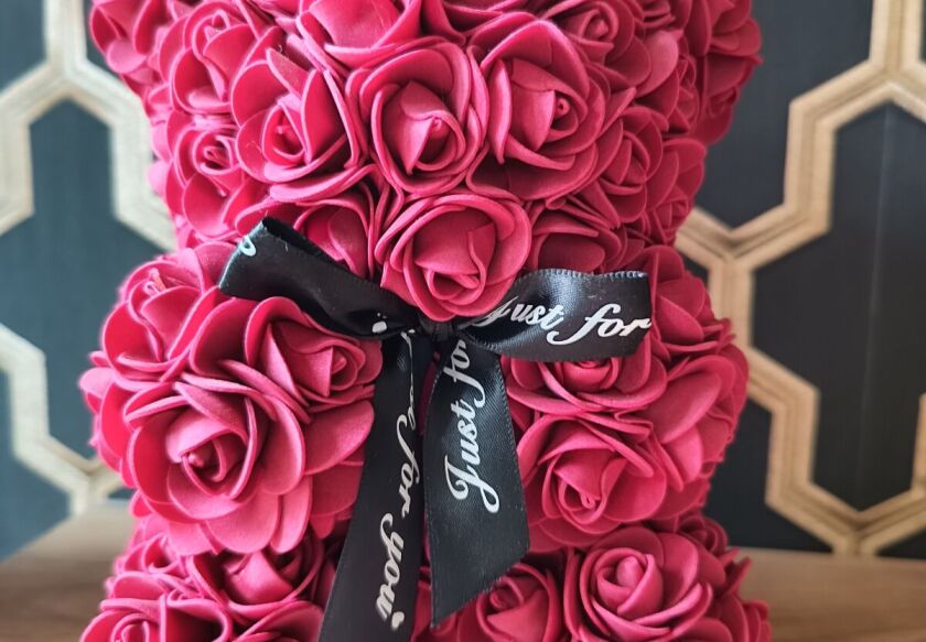 Aster Aparts Wyspa Sobieszewska  11