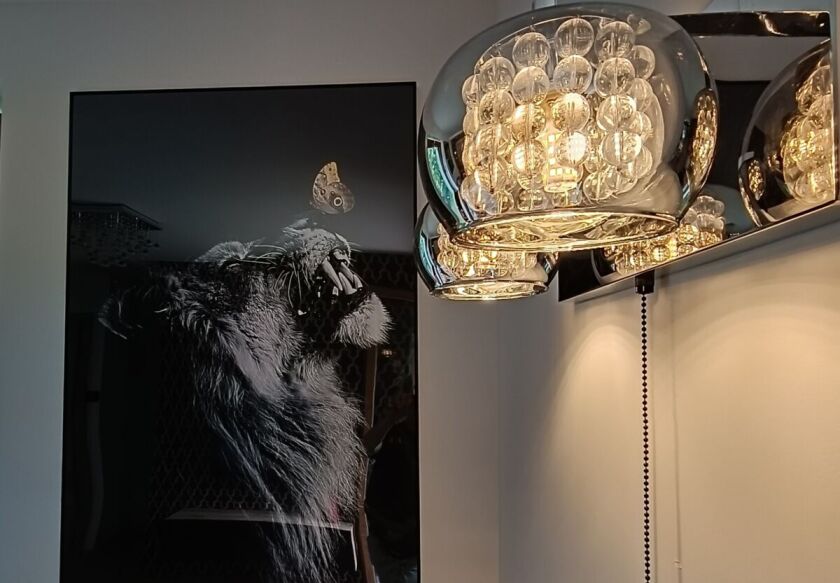 Aster Aparts Wyspa Sobieszewska  14