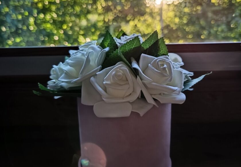 Aster Aparts Wyspa Sobieszewska  55