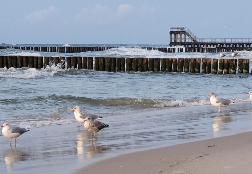 Bumerang Pokoje Gościnne i Apartamenty 44