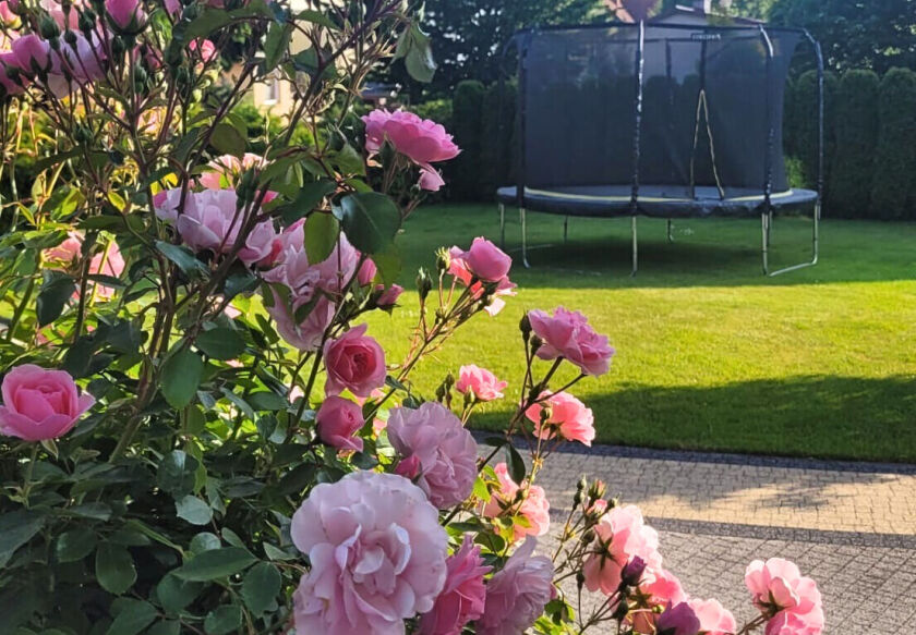 Bumerang Pokoje Gościnne i Apartamenty 46