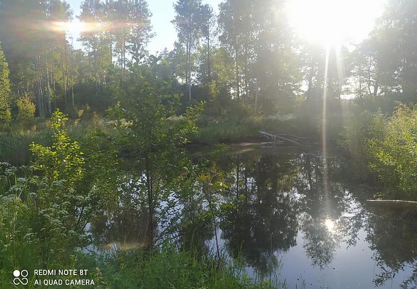 Całoroczny domek 8-os. nad jeziorem 13