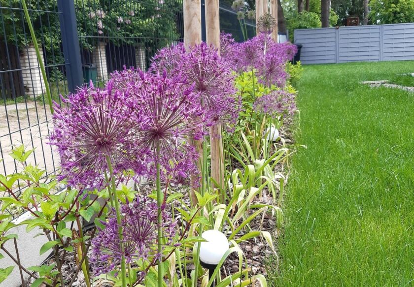 Całoroczny domek 8-os. nad jeziorem 21