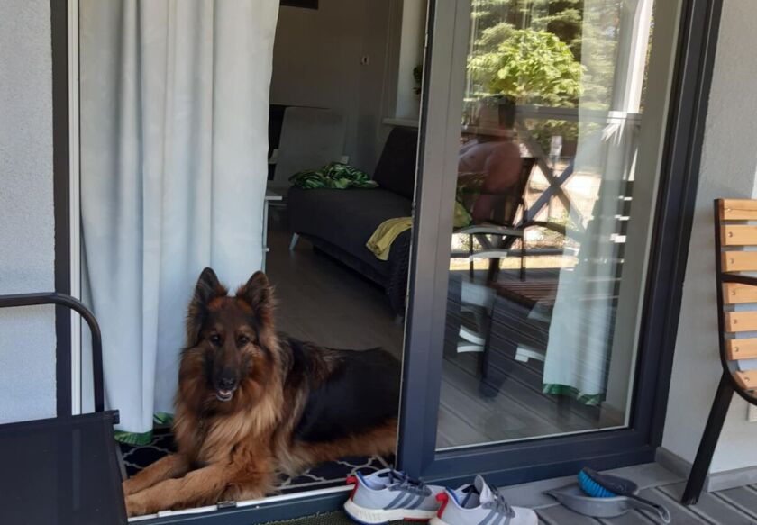 Całoroczny domek 8-os. nad jeziorem 22