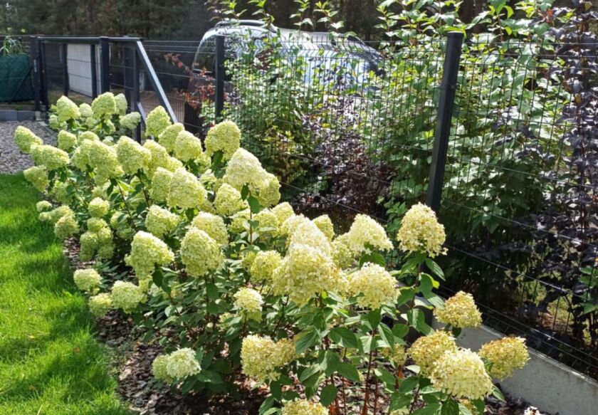 Całoroczny domek 8-os. nad jeziorem 23