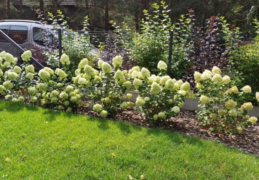 Całoroczny domek 8-os. nad jeziorem 26