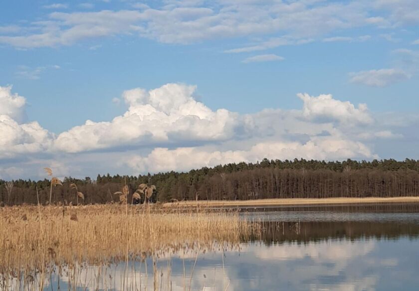 Całoroczny domek 8-os. nad jeziorem 29