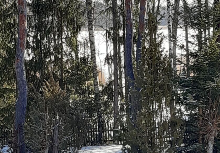 Całoroczny domek 8-os. nad jeziorem 31