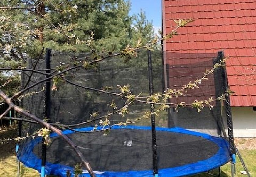 Czerwona Ł&oacute;dka 11