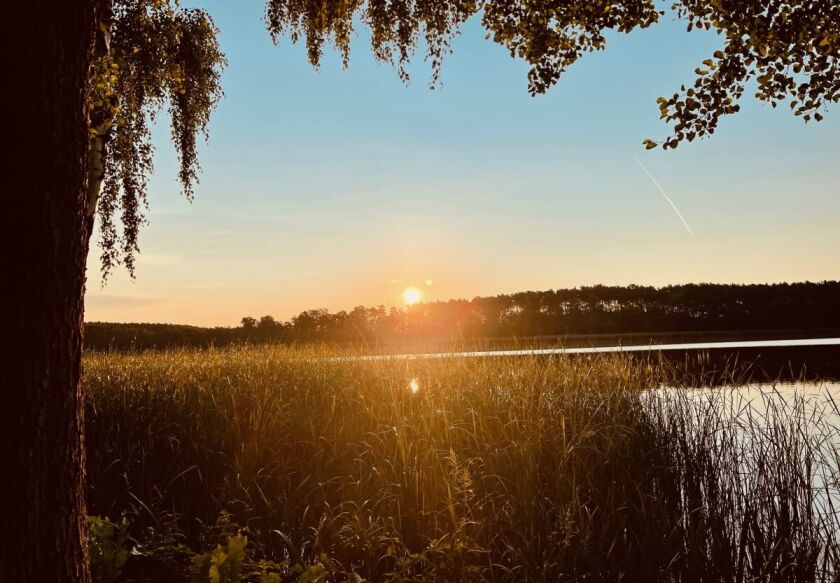 Dęb&oacute;wka - Dom Blisko Natury 28