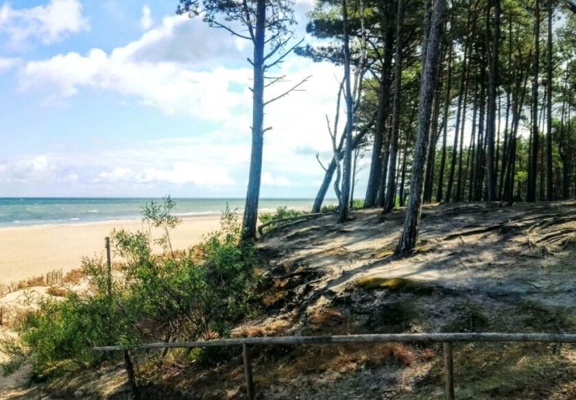 Dom Wypoczynkowy ARTEMIDA 28