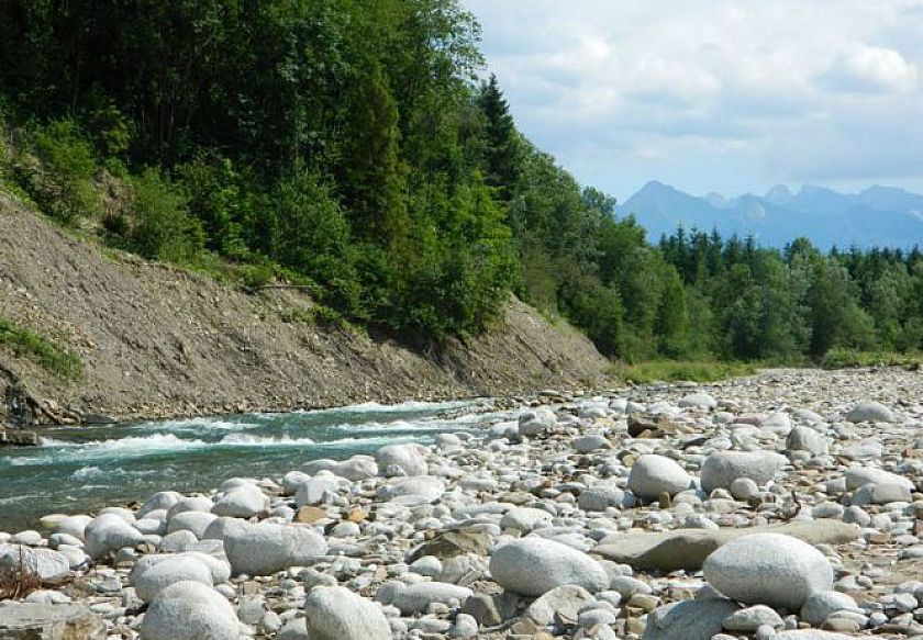 Dom Wypoczynkowy JULIA 3