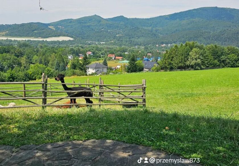 Dom Wypoczynkowy Leśnicz&oacute;wka 18 Węgierska G&oacute;rka 20
