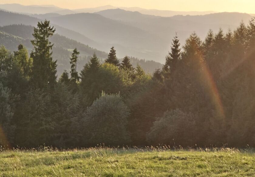 Dom Wypoczynkowy Leśnicz&oacute;wka 18 Węgierska G&oacute;rka 39