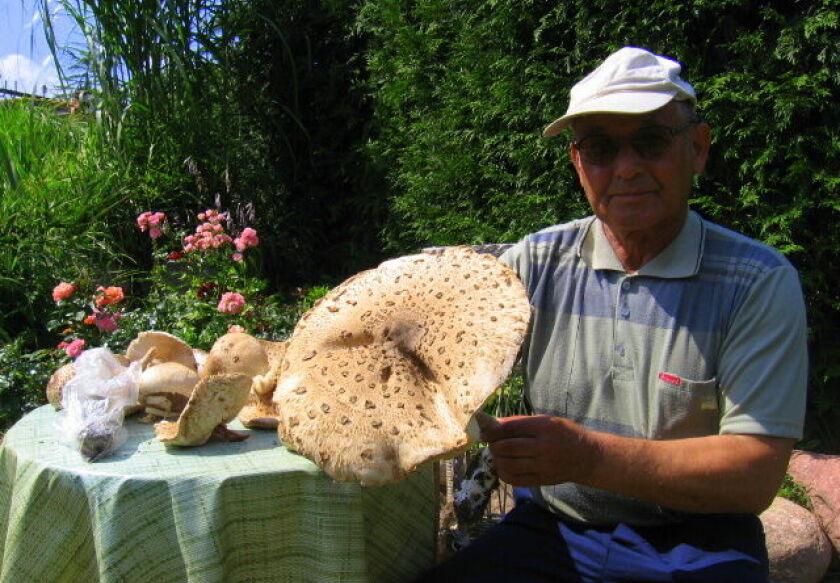 DOMEK NAD JEZIOREM ogrodzony, pomost, plaża, las 54