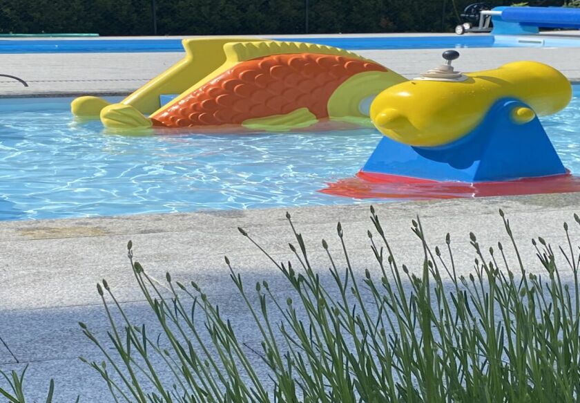 Domki & Apartamenty z basenem "KORALIA" 49