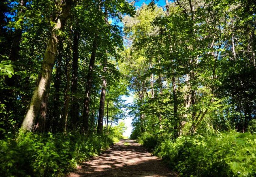 Domki Bursztynowa Plaża Ustronie Morskie-Plesna 12