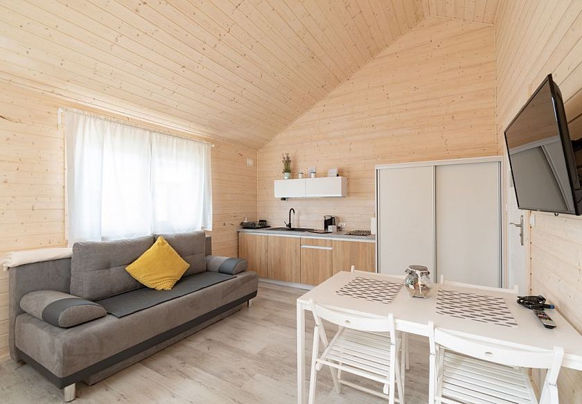 salon z aneksem kuchennym