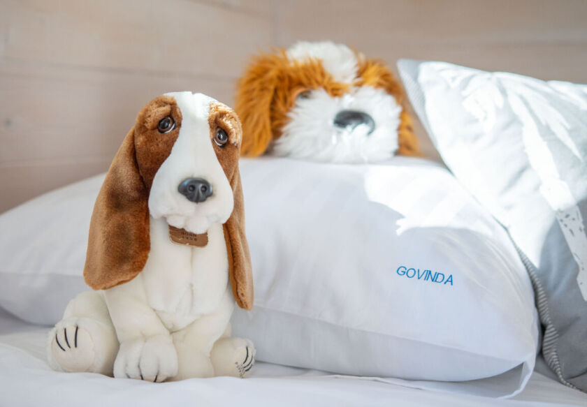 Domki gościnne Govinda 21