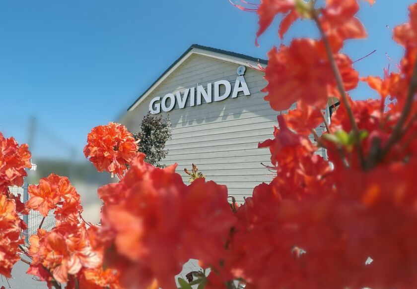 Domki gościnne Govinda 7