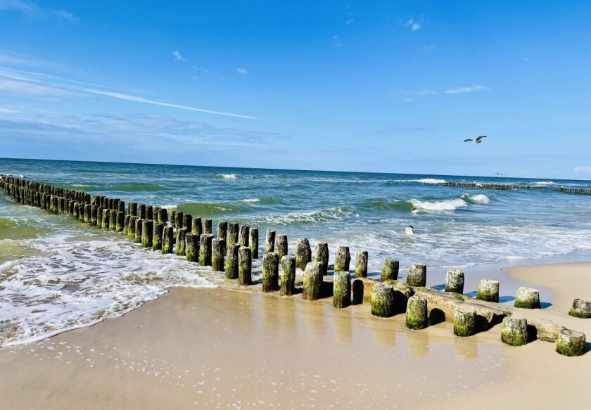 DOMKI GROSZEK 250m od morza 34