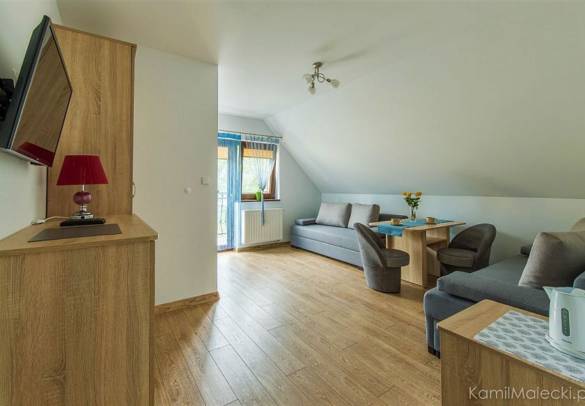 apartament duży pok&oacute;j