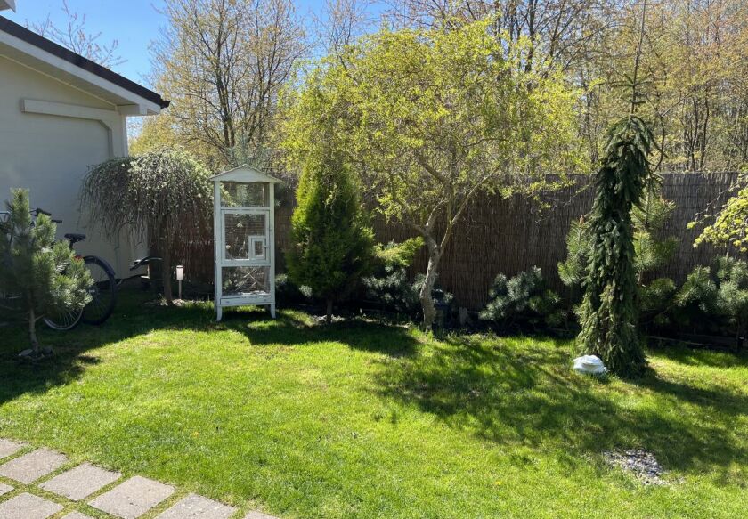 Domki JAMAJKA i apartament MAKS Międzywodzie 58